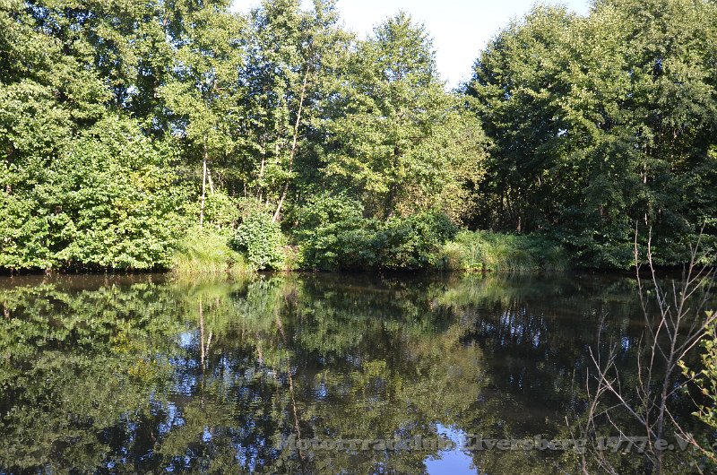 Schwarzwald 2021 - 002